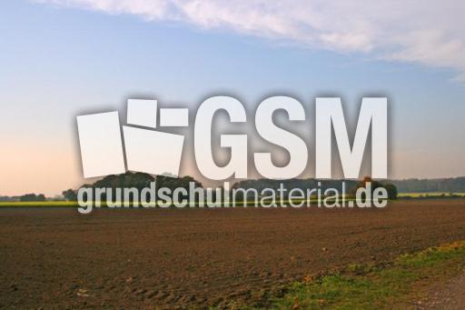 Herbststimmung-24-10-09 012.jpg